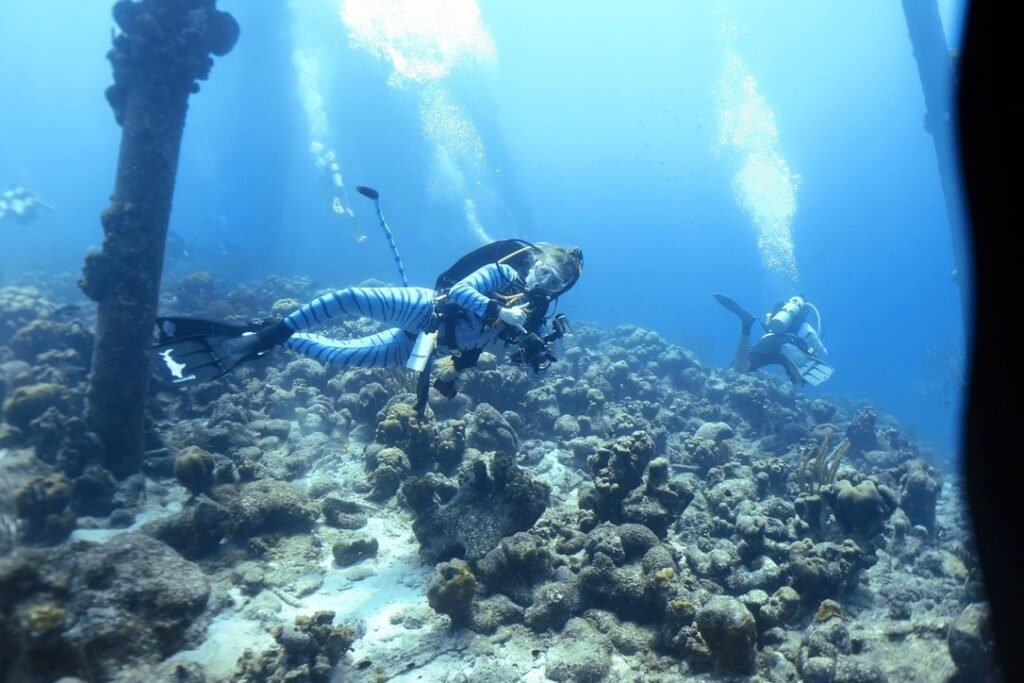 haloween dive in Bonaire, Dutch Carribean