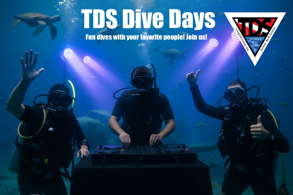 scuba dive day