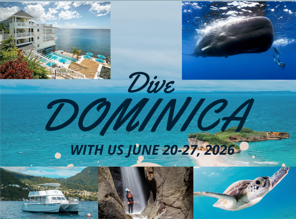 Dominca 2026