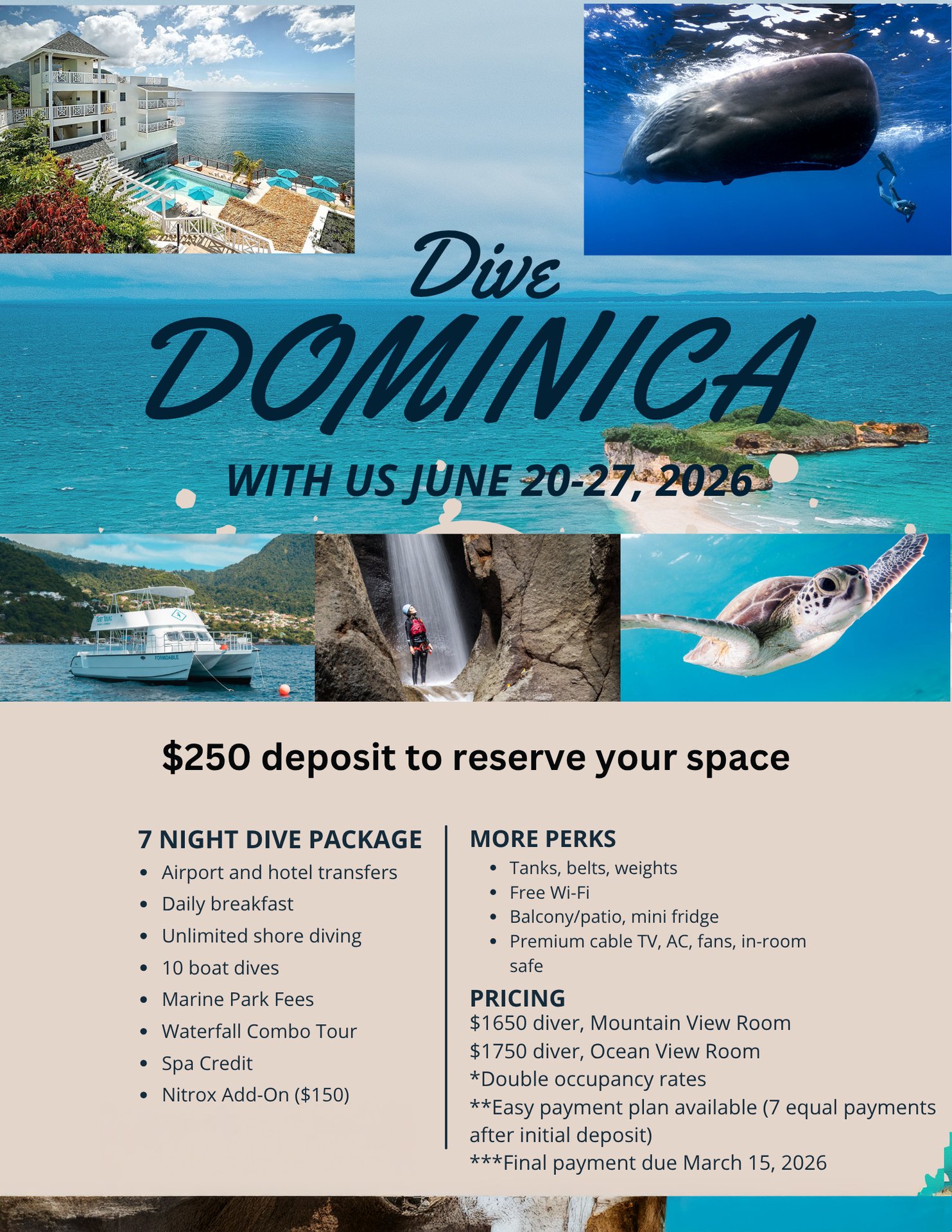 Dominca 2026