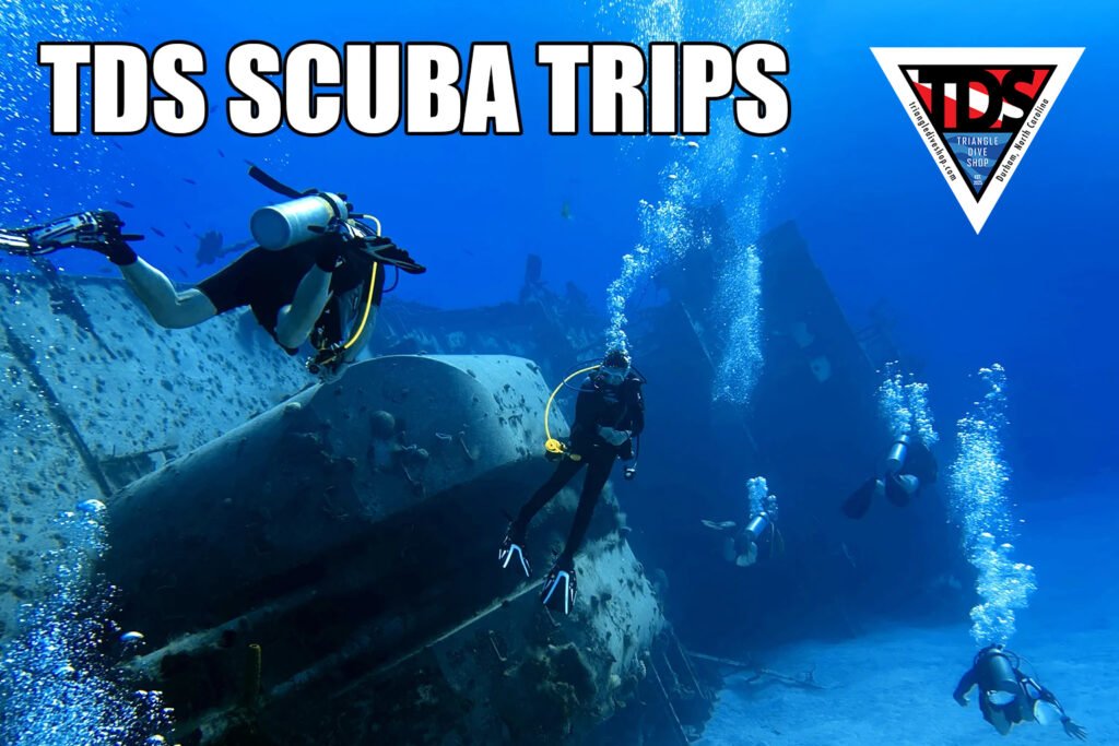 tds scuba trips tile