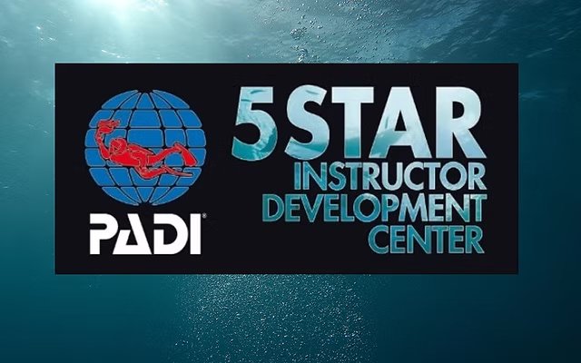 5 star IDC logo