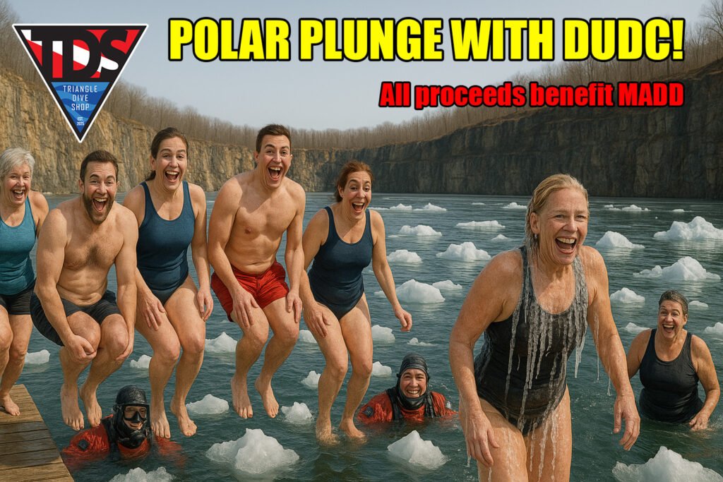 Polar Plunge