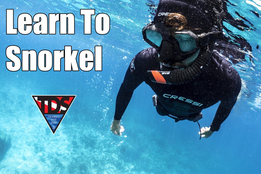 Learn to snorkel