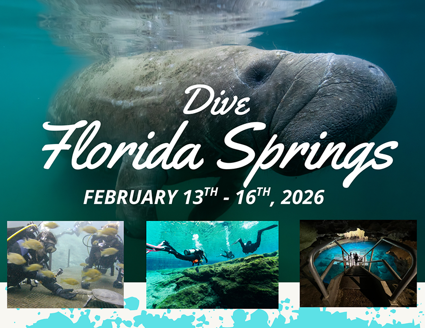 Fl Springs feb 2026 tile