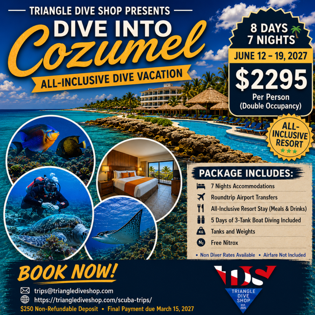 Cozumel 2027