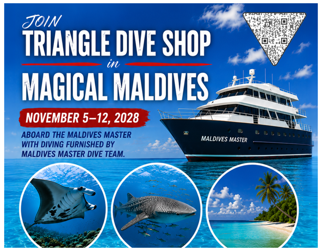 maldives 2029 tile